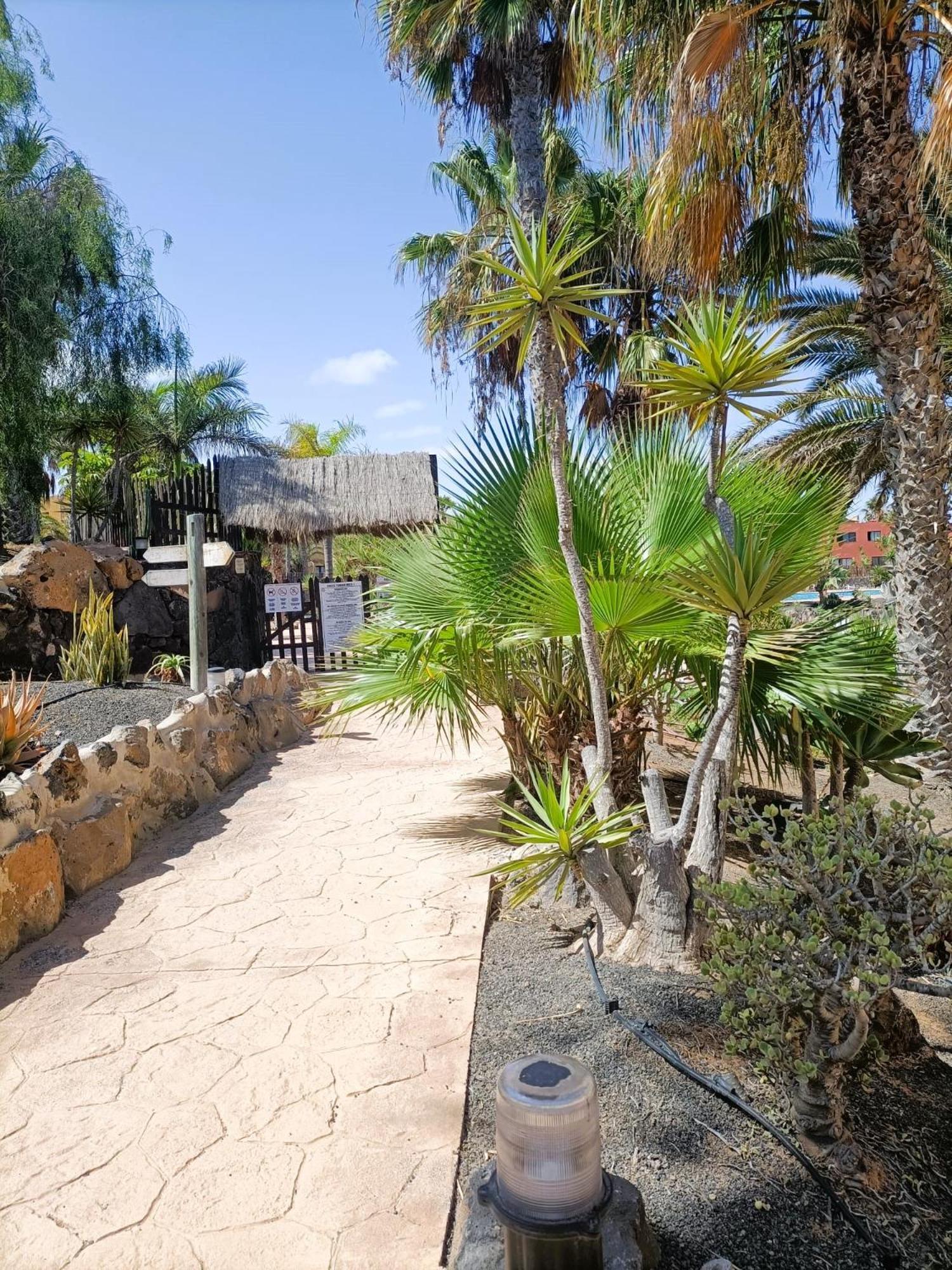 Casa Vacanza In Oasis Tamarindo コラレホ エクステリア 写真